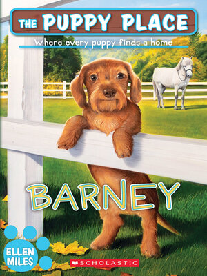 cover image of Barney